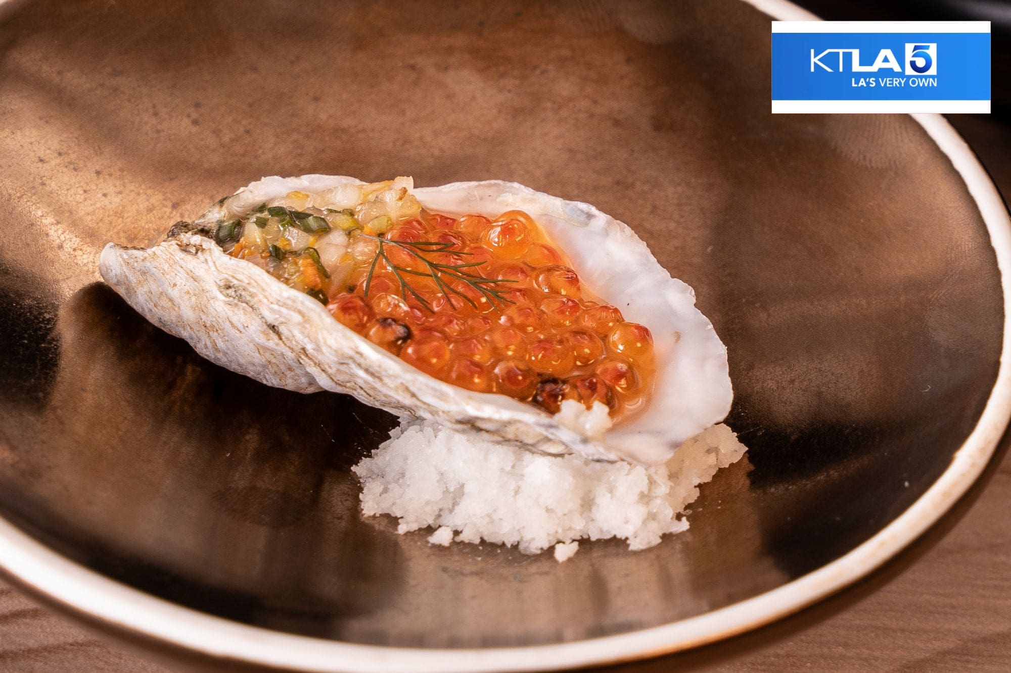 Wagyu House LA | Watch the Niku X dining experience